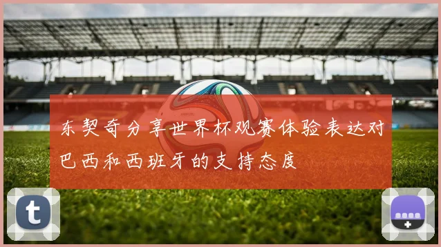 东契奇分享世界杯观赛体验表达对巴西和西班牙的支持态度